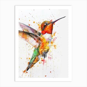 Hummingbird Colourful Watercolour 1 Art Print