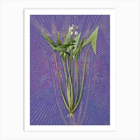 Vintage Arrowhead Botanical Illustration on Veri Peri n.0614 Art Print