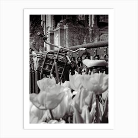 Amsterdam Tulips and Bike Art Print