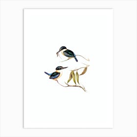 Vintage Sacred Halcyon Bird Illustration on Pure White n.0441 Art Print