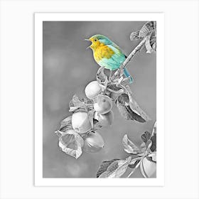 Bird In The Tree 1 Art Print