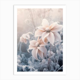 Frosty Botanical Poinsettia 3 Art Print