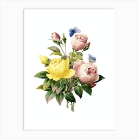 Vintage Variety of Roses Botanical Illustration on Pure White n.0899 Art Print