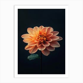 Dahlia 28 Art Print