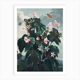 Vintage Thornton 4 Oblique Begonia Art Print