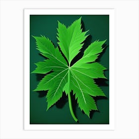 Nettle Leaf Vibrant Inspired 3 Art Print