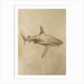 Greenland Shark Vintage Illustration 4 Art Print