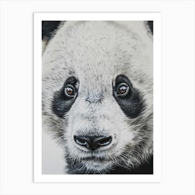 Panda Bear 4 Art Print