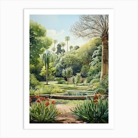 Adelaise Botanical Gardens Australia Watercolour 2 Art Print