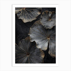 Lotus Leaves 2 Art Print