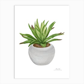 Aloe Plant.A fine artistic print that decorates the place. Art Print