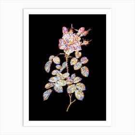 Stained Glass Four Seasons Rose in Bloom Mosaic Botanical Illustration on Black n.0038 Art Print