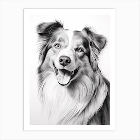 Australian Shepherd Dog, Line Drawing 3 Art Print