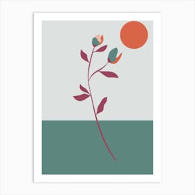 Flower In The Sun Art Print