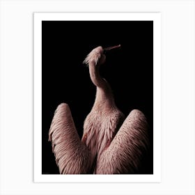 Pink Pelican Art Print