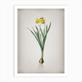 Vintage Lesser Wild Daffodil Botanical on Parchment Art Print