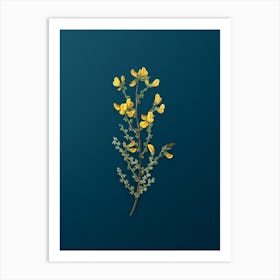 Vintage Adenocarpus Botanical Art on Teal Blue n.0689 Art Print