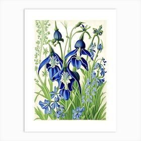 Bluebell 3 Floral Botanical Vintage Poster Flower Art Print