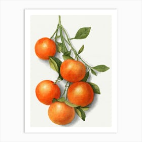 Tangerines Art Print