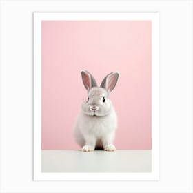 Cute Rabbit On A Pink Background Art Print