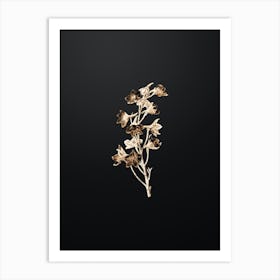 Gold Botanical Shewy Delphinium Flower on Wrought Iron Black n.0246 Art Print