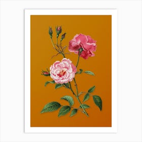 Vintage Ever Blowing Rose Botanical on Sunset Orange n.0221 Art Print