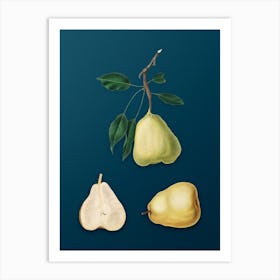 Vintage Pear Botanical Art on Teal Blue n.0931 Art Print