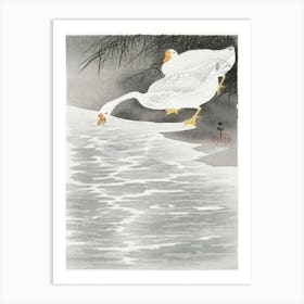 Geese On The Shore (1900 1930), Ohara Koson Art Print