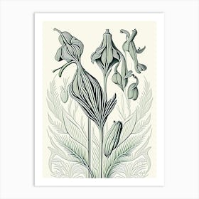 Cardamom Herb William Morris Inspired Line Drawing 1 Art Print