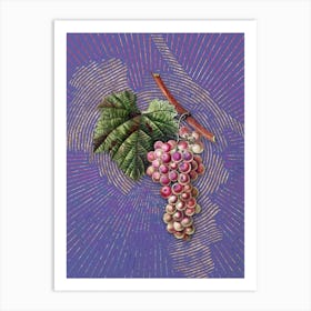 Vintage Grape Vine Botanical Illustration on Veri Peri n.0653 Art Print