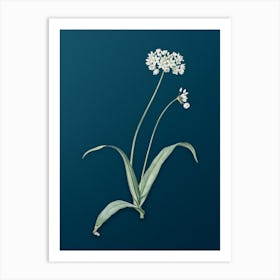 Vintage Spring Garlic Botanical Art on Teal Blue n.0335 Art Print