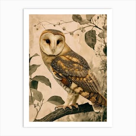 Australian Masked Owl Painting 3 Art Print