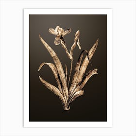 Gold Botanical Hungarian Iris on Chocolate Brown n.1300 Art Print