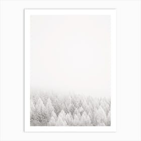 Winter Forest Scenery Art Print