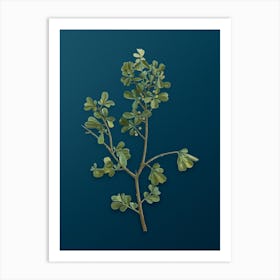 Vintage European Buckthorn Botanical Art on Teal Blue Art Print