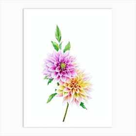 Dahlia Watercolour Flower Art Print