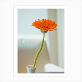 Orange Gerbera Flower In White Vase On White Background 1 Art Print