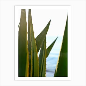 Agave and the Blue Sea // Ibiza Nature & Travel Photography Art Print
