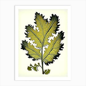 Tansy Leaf Vintage Botanical 3 Art Print