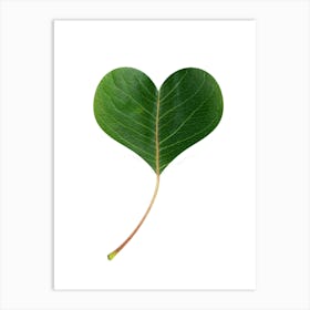 Leaf Heart Art Print