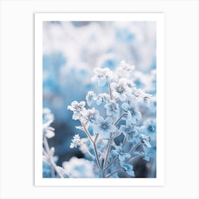 Frosty Botanical Alpine Forget Me Not Art Print