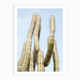 Tropical Cactus Plant Art Print
