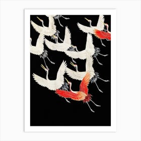 Myriad of Flying Cranes Art Print