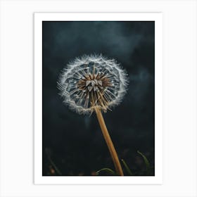 Dandelion And Cloudy Sky Art Print