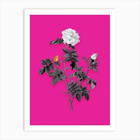 Vintage Pink Rosebush Black and White Gold Leaf Floral Art on Hot Pink n.0255 Art Print