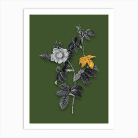 Vintage Dog Rose Black and White Gold Leaf Floral Art on Olive Green n.0169 Art Print