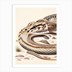 Western Diamondback Rattlesnake 1 Vintage Art Print