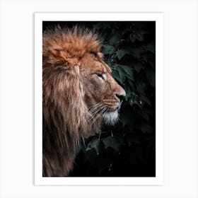 Lion Pose Art Print