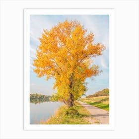 Autumn Tree By The River Art Print