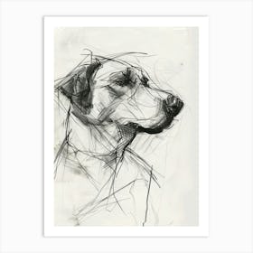 Kuvasz Dog Charcoal Line 1 Art Print